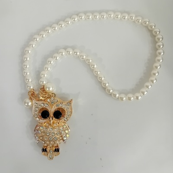 Κρεμαστό κουκουβάγια για δασκάλους/ες