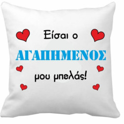 Μαξιλάρι 40χ40