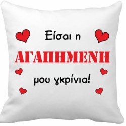 Μαξιλάρι 40χ40