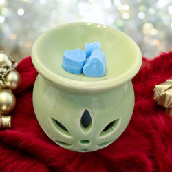 Σετ καυστήρας με wax melt