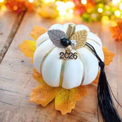 Γούρι κολοκύθα 2026