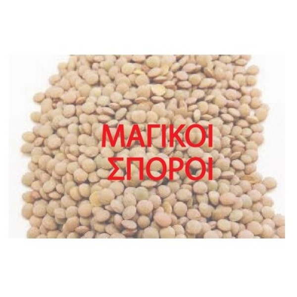 Μαγικό Κουτί Άη Βασίλη